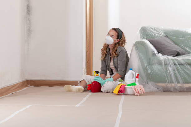 Reliable Mold Cleanup contractor in Spring Grove, VA by WQB Mold Removal